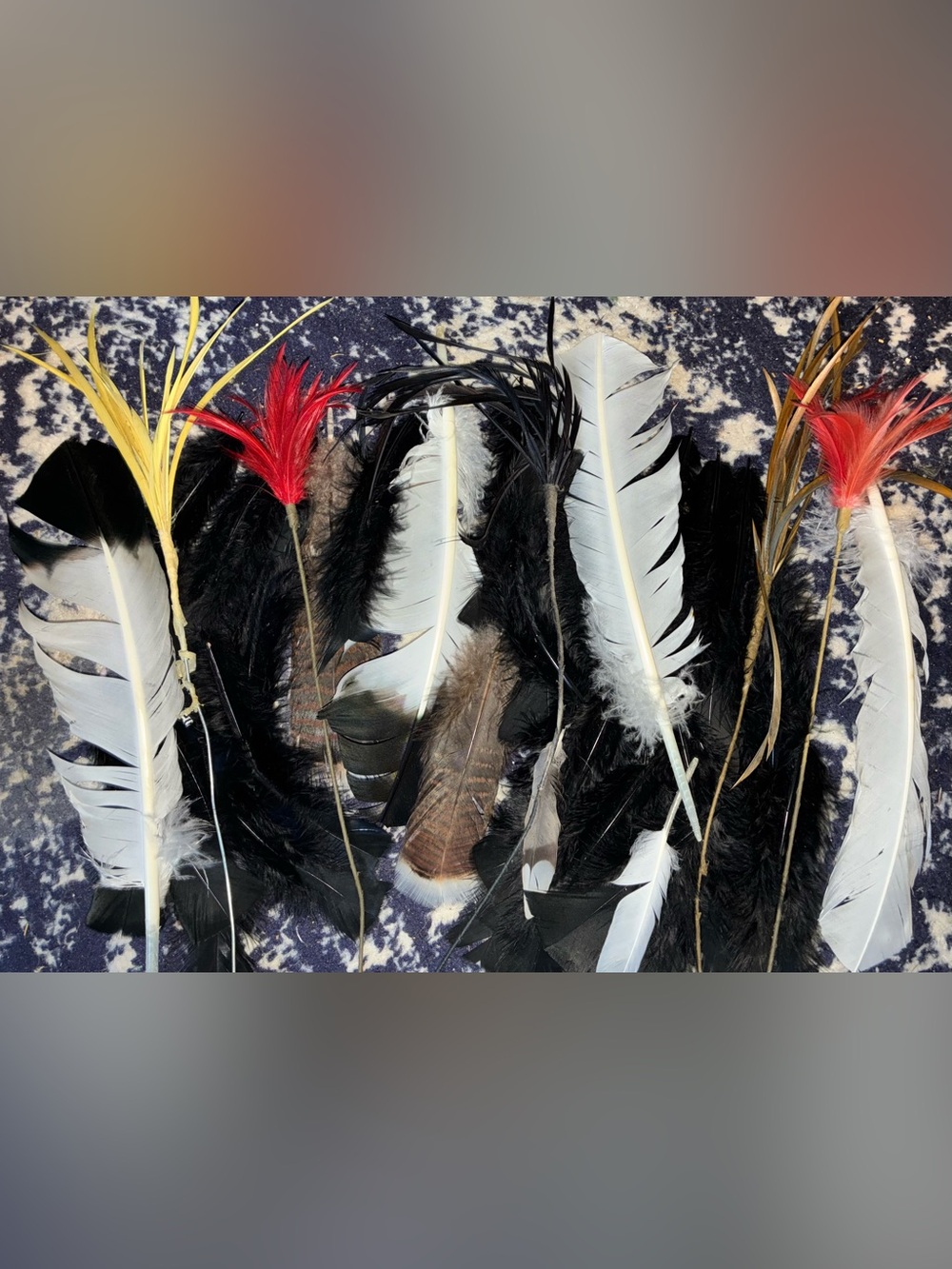 Mixed Decorative Feathers